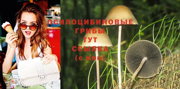 гашик Бронницы